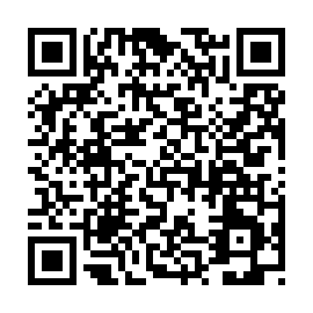 QR code for 4P5IN