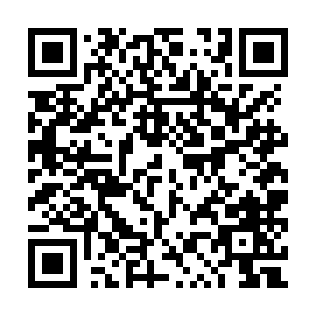 QR code for 4P6NM