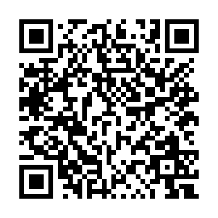 QR code for 4P8NS