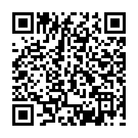 QR code for 4R1NV