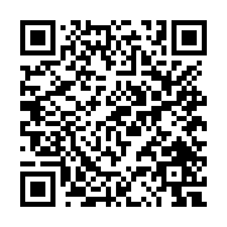 QR code for 4S5NT