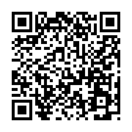 QR code for 4V2IV