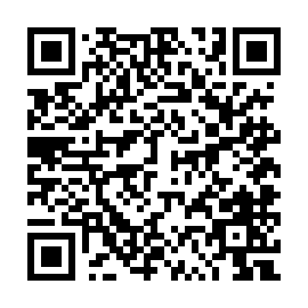 QR code for 4V4DM