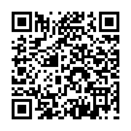 QR code for 4V4IG