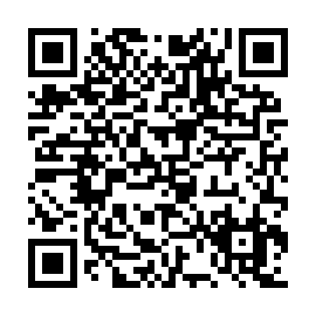 QR code for 4V4IR