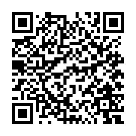 QR code for 4V4OG