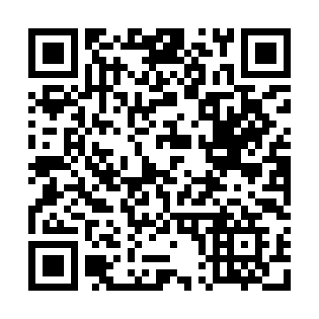 QR code for 500 IIG