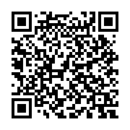 QR code for plate 500 BWQ