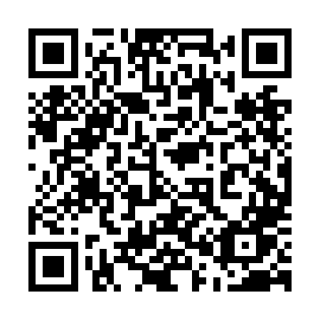 QR code for plate 500 NLW