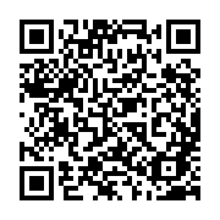 QR code for plate 500 QLA