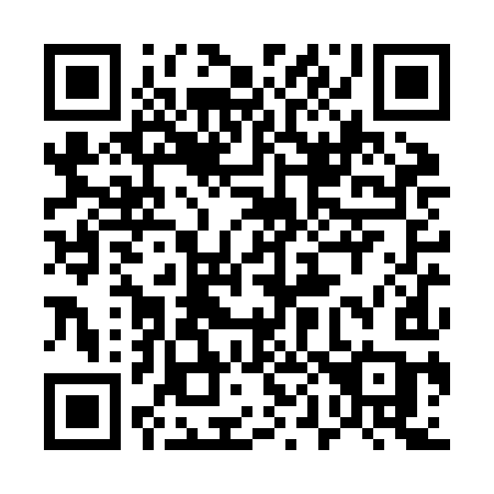 QR code for plate 500 ZIC