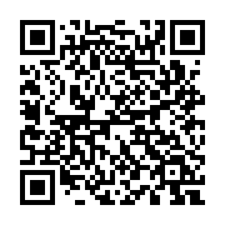 QR code for plate 503 APL