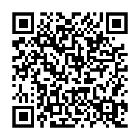 QR code for plate 509 DGG