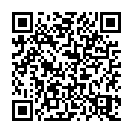 QR code for plate 509 UZS