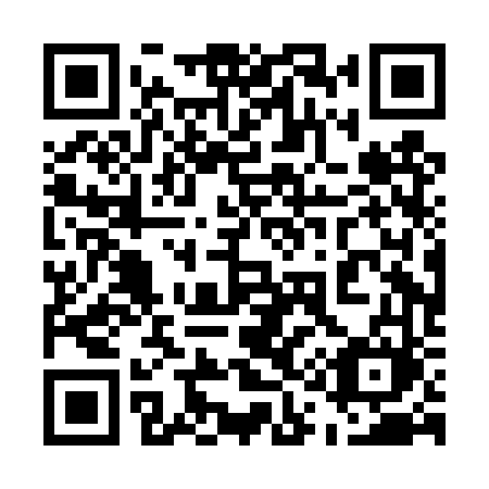 QR code for 510DVM