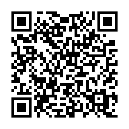 QR code for 511 VPM