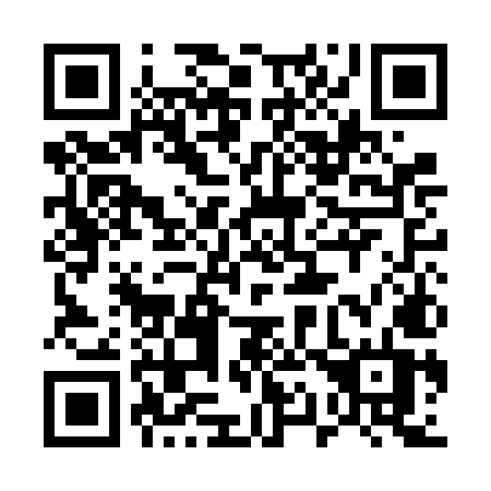 QR code for plate 511 FMT