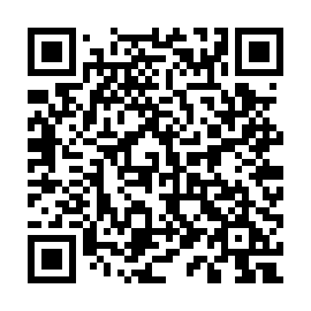 QR code for 517PPE