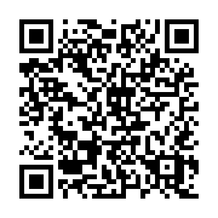 QR code for 519 MEX