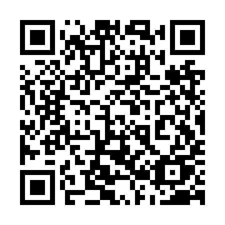 QR code for plate 523 NYU