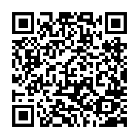 QR code for plate 523 RLZ