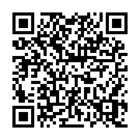 QR code for plate 529 IGV