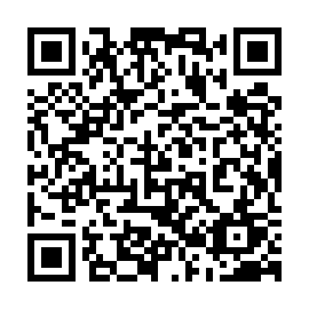 QR code for plate 529 UST