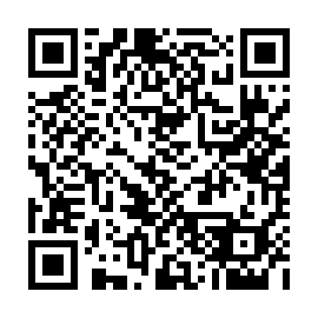 QR code for plate 533 HSI
