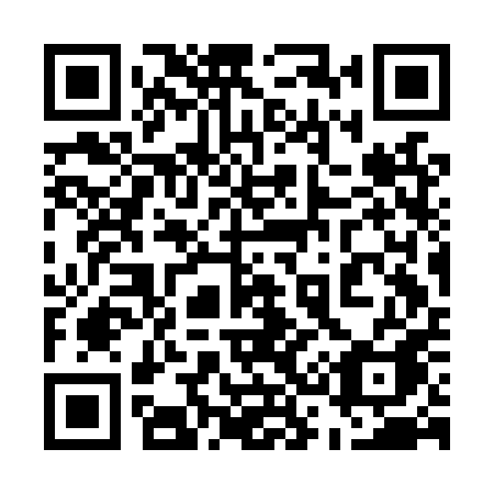 QR code for plate 533 LPA