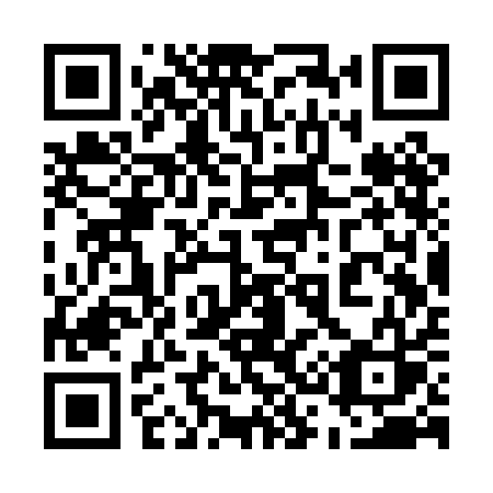 QR code for 533PAS