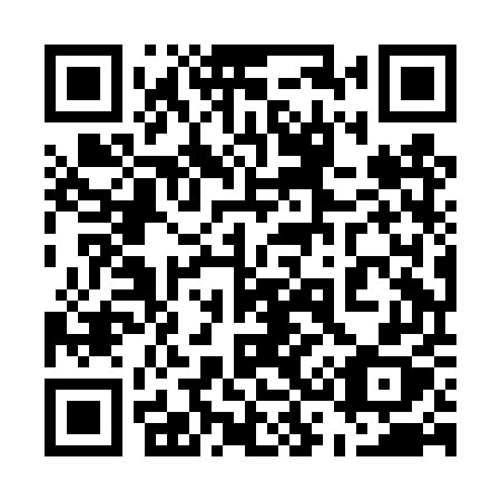 QR code for plate 538 DUX