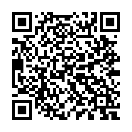 QR code for 541 PPZ