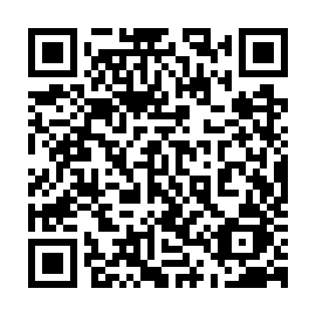 QR code for plate 541 WZJ