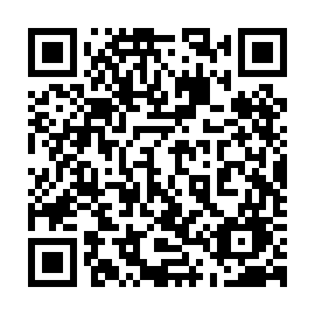 QR code for 542PGG