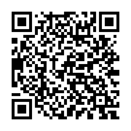 QR code for 545WSI