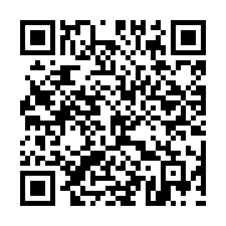 QR code for plate 550 NIE