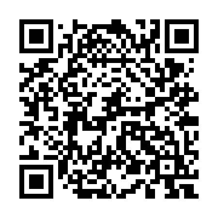 QR code for 553 VIZ