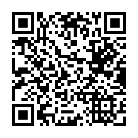 QR code for plate 591 SFL
