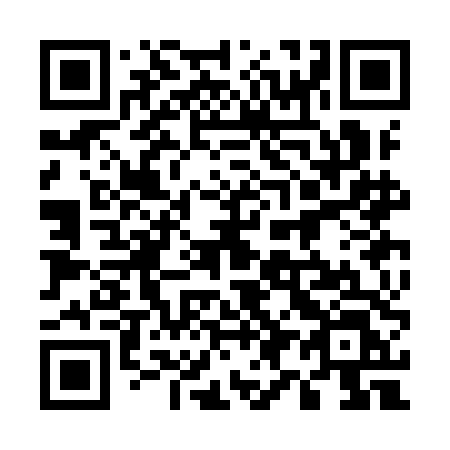 QR code for plate 593 IDL
