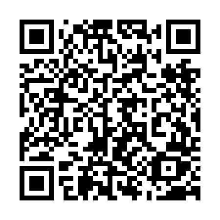QR code for plate 593 NDZ