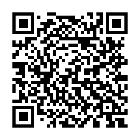 QR code for plate 593 XXF