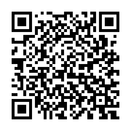 QR code for plate 595 ANJ