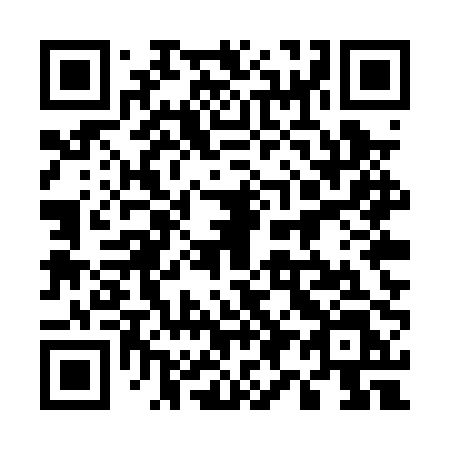 QR code for plate 595 PPL