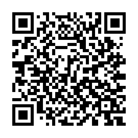 QR code for plate 595 RNV