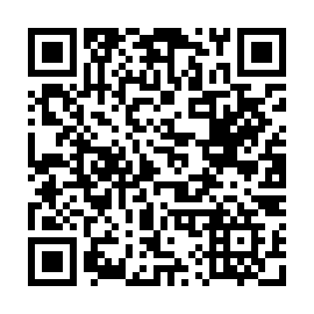 QR code for plate 596 LKG