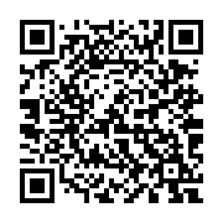 QR code for plate 596 TIM
