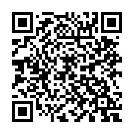 QR code for 599 DSG
