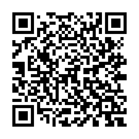 QR code for 599 ZNL