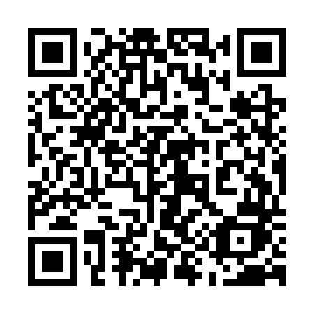 QR code for plate 599 CTJ