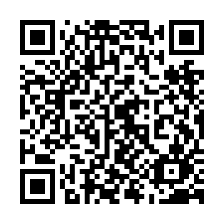 QR code for plate 599 NAN
